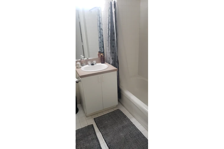 $1000 : Busco Roommate Mujer image 2