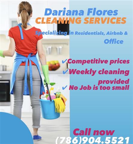 Cleaning services Dariana image 2
