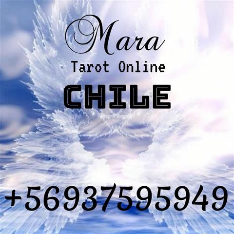Mara Tarot Online /Chile/ image 2