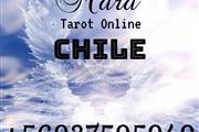 Mara Tarot Online /Chile/ thumbnail 2
