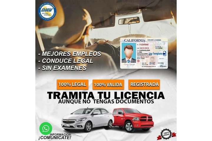Trámites de Licencia image 4