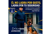 Él no ladra por gusto... ladra en Ensenada