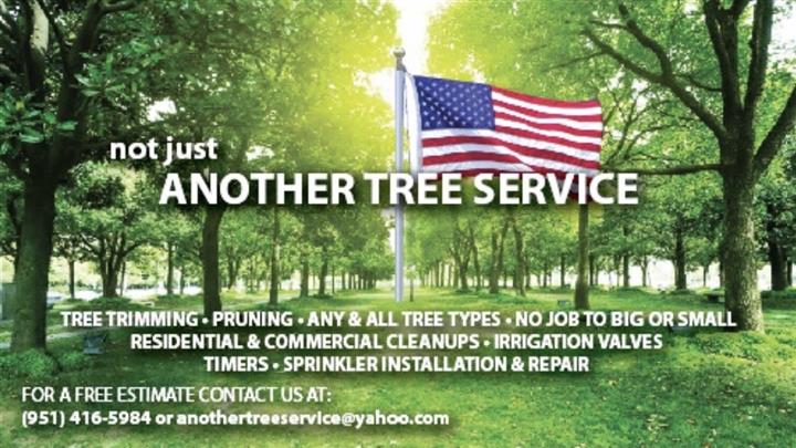 Not Just. Another Tree Service image 1