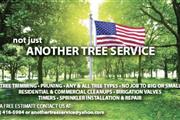Not Just. Another Tree Service