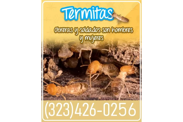 FUMIGACIONES TERMITAS L.A.- image 2
