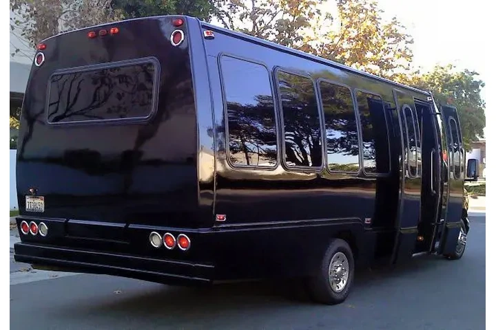 13233856621 LIMO& PARTY BUS image 4