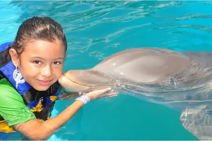 Tours en Mexico image 1