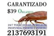 FUMIGACION GARANTIZADA $49 thumbnail