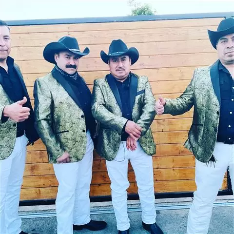 🎶  ACENDADO NORTEÑO 🎶 image 3