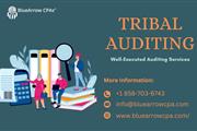 Best Tribal Auditing Services en San Diego