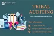 Best Tribal Auditing Services en San Diego