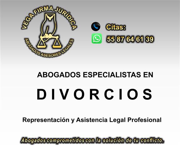 DEMANDA DE DIVORCIO ABOGADOS image 1