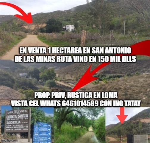 $37500 : EN VENTA RUTA VINO TERRENO image 2