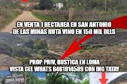 $37500 : EN VENTA RUTA VINO TERRENO thumbnail