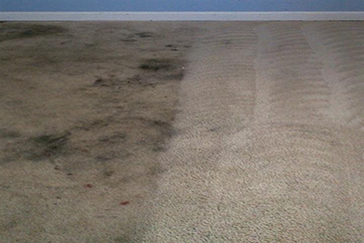 MAURICIO'S CARPET CLEANING image 1