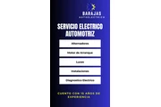 Servicio autoelectrico. en San Bernardino