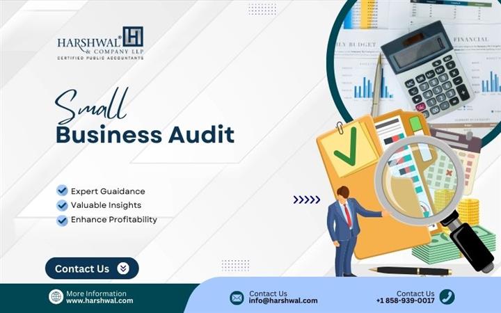 small business audit expert image 1