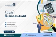 small business audit expert en San Diego