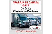 Requiero camioneros para Canad en Bogota