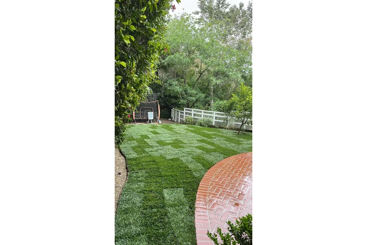I offer my gardening services image 7