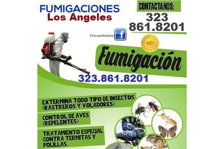 FUMIGACIONES GARANTIZADAS.24/7 image 1