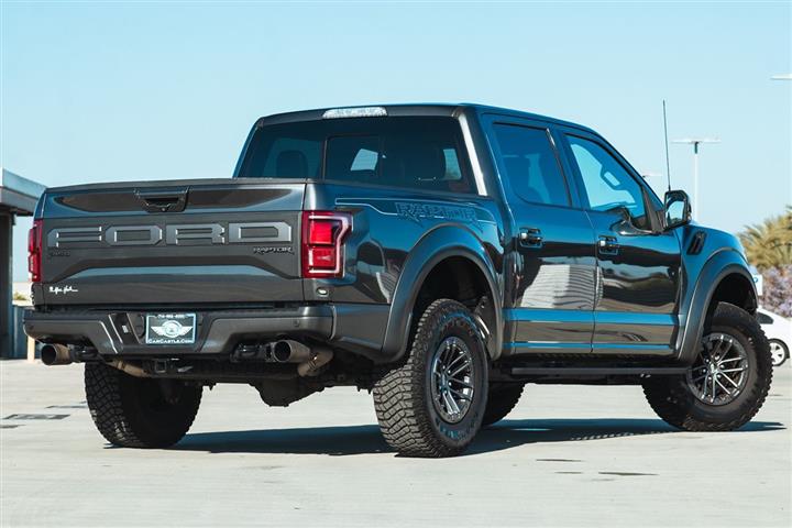 2019 F-150 Raptor image 2