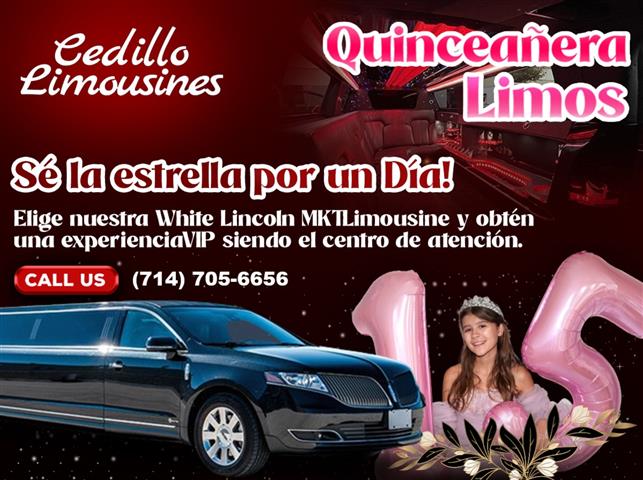 Cedillo Limousines image 2