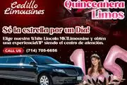 Cedillo Limousines thumbnail