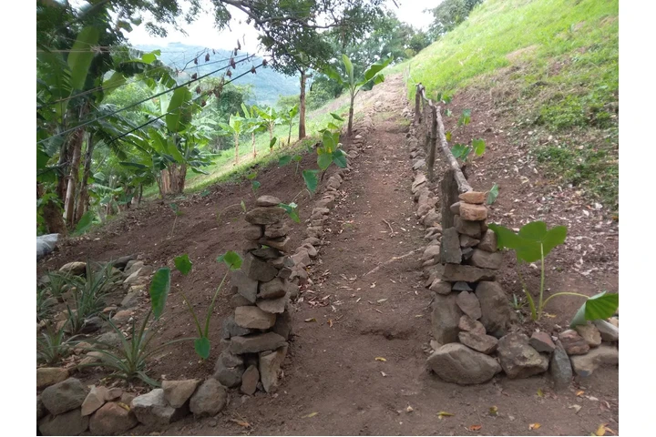 $299444 : Salitral Costa Rica Land Sale image 4