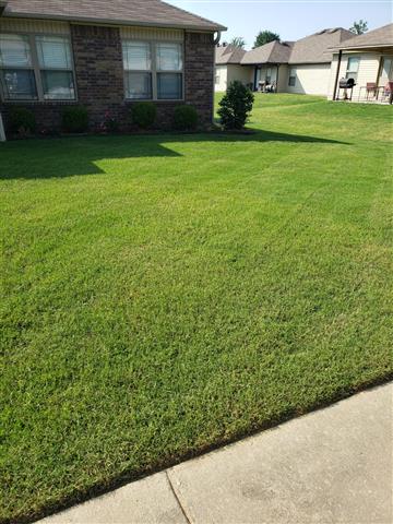 Victors Lawn and landscaping image 6