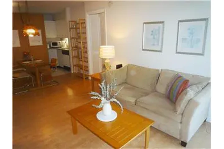 $3100 : Rental property with 1 bedro image 9