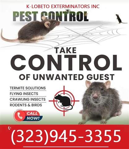 RODENTS CONTROL NEAR ME 24/7 image 6