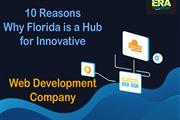 Top Web Development Company in en Fort Lauderdale