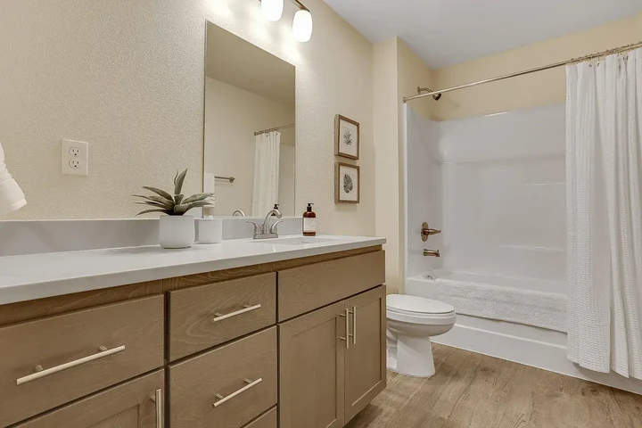 $1300 : Spacious 1BR 1BA 1300 image 3