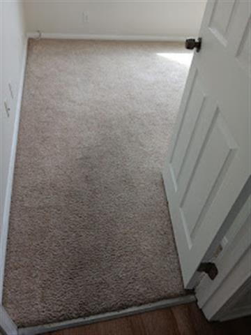 Dominguez Carpet Cleaning image 3