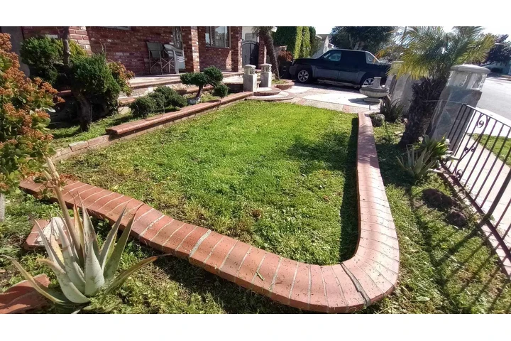 Grasscut weeds shrubs 🏡📲🌴 image 10