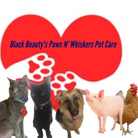 BB Paws N' Whiskers Pet Care image 1