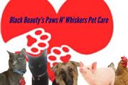 BB Paws N' Whiskers Pet Care en San Bernardino