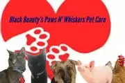 BB Paws N' Whiskers Pet Care en San Bernardino