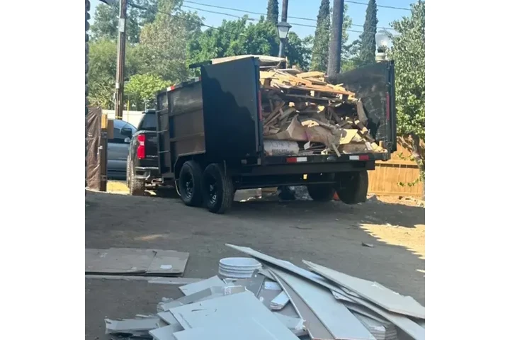 Recogemos su Junk image 2