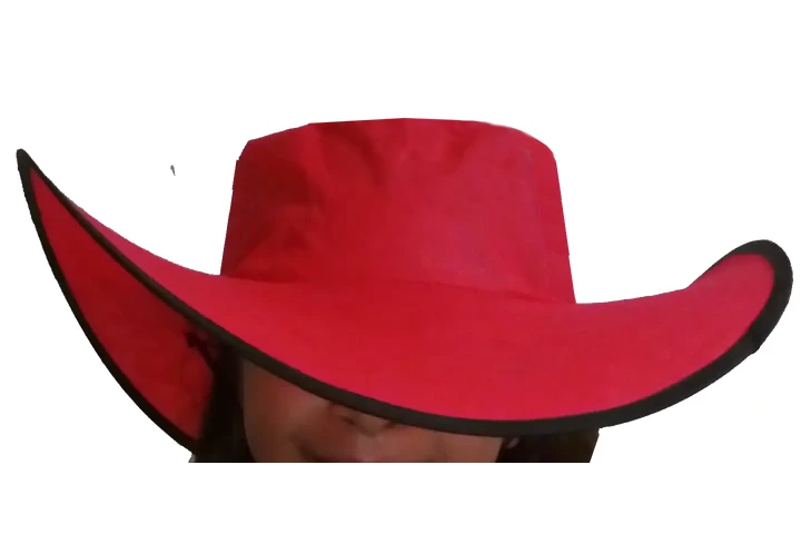 $1 : SOMBRERO PUBLICITARIO CAMPAÑAS image 3