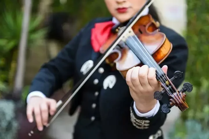 MARIACHI ALMA JALISCIENSE image 2