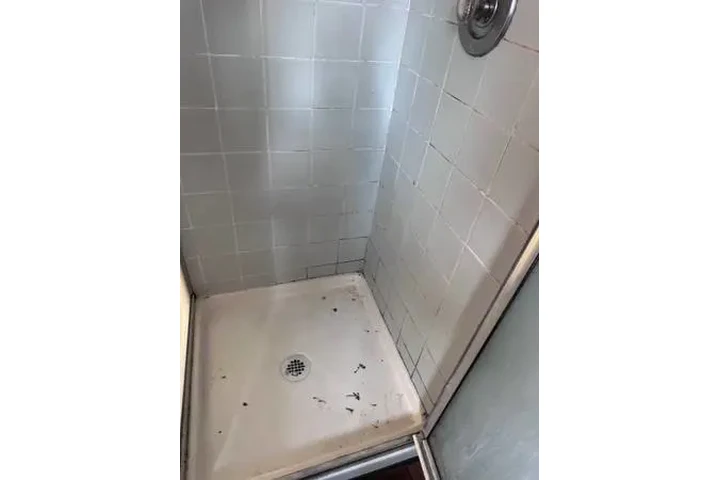 Family house cleaning services image 9