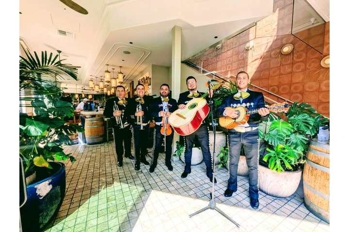 Mariachi Oro de Jalisco image 5