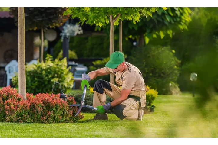 Rudy's Lawn Cutter & Landscape image 4