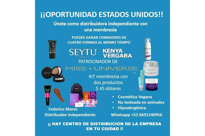 INGRESOS ADICIONALES image 1
