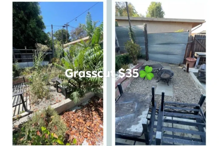 Jardinero $35🍀🌿💳📱 image 2