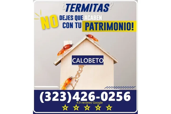 FUMIGACIONES TERMITAS L.A.- image 1