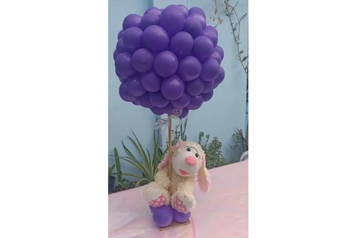 Jasmine's Party Decorations image 5