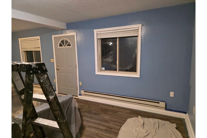 LIMPIADORES EN TAMPA image 2